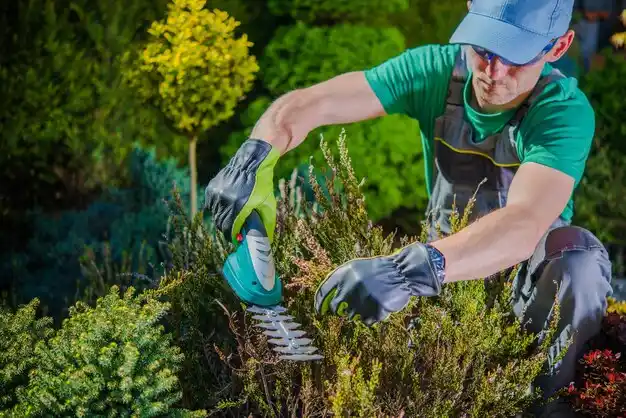 landscaping services Coal Grove